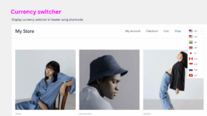 PSM Multi-Currency switcher user view